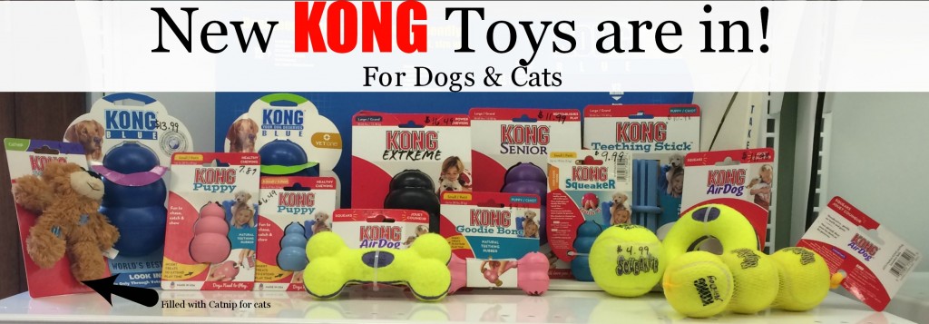 Kong