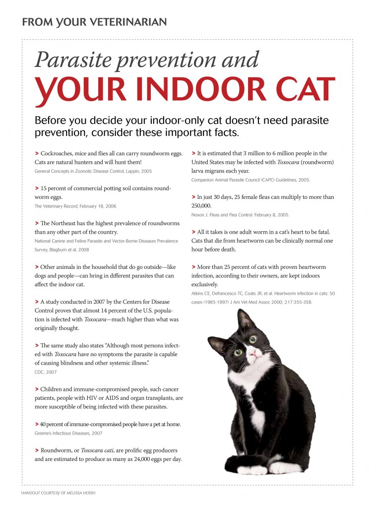 indoorcats